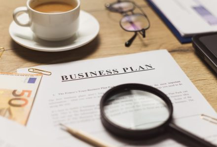 Il Business Plan e la S.R.L.